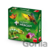 Zázraky přírody - Dino