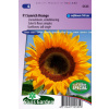 Helianthus annuus (slnečnica) Tall Sunrich Orange F1 cca. 18 semien