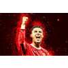 CUKROVÁ TLAČ jedlý obrázok na tortu Cukrová hmota Cristiano Ronaldo Manchester Un