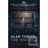 Alan Turing The Enigma (Andrew Hodges)