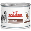 Royal Canin VD Royal Canin Veterinary Diet Recovery Can 195 g
