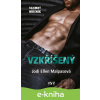 E-kniha Vzkříšený - Jodi Ellen Malpas