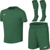 Nike Dětská sportovní souprava Dri-Fit Park VIII zelená HV8260 302 L