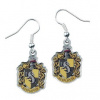 Carat Shop náušnice Harry Potter Mrzimor postříbřené WE0024