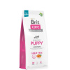 Brit Care Dog Grain-free Puppy Salmon and Potato 12 kg