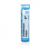Chelidonium Majus gra.1 x 4 g 9CH