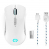 Lenovo Legion M600 Wireless Gaming Mouse (Stingray) GY51C96033