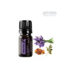 doTerra Anchor 5 ml