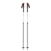 BLACK DIAMOND EXPEDITION 2 SKI POLES - 155 cm