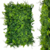 Zelená stena - rastlinný panel filodendron, tuja a rozchodník