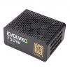 EVOLVEO G750/750W/ATX/80PLUS Gold/Modular, E-G750R