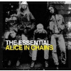 Alice In Chains - Essential Alice In Chains 2CD