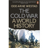 The Cold War - A World History