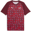 Puma Mens Switzerland Warm-Up Shirt World Cup 2026 Red/White M