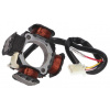 Stator ALTERNÁTORA 700.19.70