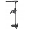 HASWING Protruar 5.0HP, 160 lb, 24V