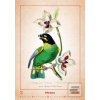 Aviarium 2026 - nástěnný…