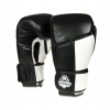 Boxerské rukavice Bushido 5902539011180 12 oz