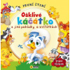První čtení - Ošklivé káčátko a jiné pohádky - SUN