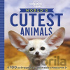 World's Cutest Animals - Lonely Planet