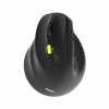 PORT CONNECT Ergo Shape, bezdrátová dobíjecí myš, USB-A/Bluetooth, 2.4GHz, levoruká, 2400DPI, černá