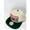Mitchell & Ness Pánská kšiltovka Minnesota Wild NHL Speed Zone Snapback