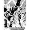 Fototapeta panel - PL0296 - Batman a Robin 175cm x 250cm - Vlies 110gr