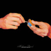 Million Dead - Harmony No Harmony [CD]