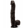 X-MEN Paddys Cock Black BIG (36cm)