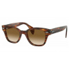 Ray-Ban RB0880S 954/51