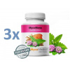 MycoMedica MycoMeno 3 x 90 kapsúl