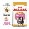 Royal Canin Persian Kitten - granule pre mačiatka perzskej mačky 2 kg