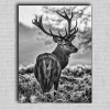 Obraz Jeleň 01 Čierna 100x80 cm