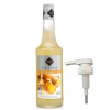 Sirup RIOBA na nápoje IMBIR 0,7 l + Pumpička