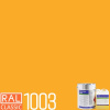 POLYCOL® 301-560 epoxidový nátěr, sada 24 kg Barva (odstín): RAL 1003 - signální žlutá