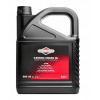 Briggs & Stratton SAE 30 5 l