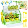 SKLENÍK PRE DETI MINI ZÁHRADA PLANTÁŽ RASTLÍN ZEM KVETY SADA DIY