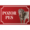 Neapolský mastin - Kovová tabuľka POZOR PES