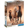 Galopujúce kone HQC 1000ks puzzle s plagátom - Clementoni