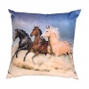 DADKA VRACOV Fotopolštářek Koně na poušti 40x40 cm