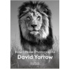 David Yarrow - David Yarrow, Laurence King
