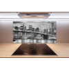 Panel lacobel Manhattan New York 100x50 cm