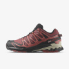 SALOMON XA PRO 3D V9 GTX W EUR 36 2/3