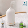 Ultrazvukový zvlhčovač, aromaterapeutický inštitút čistič (Aroma keramický difúzor Eco bez keramického plastu)