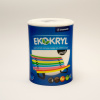 V 2045/0670 EKOKRYL MAT - 0.6l