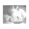 ZUTY Bodkovanie - MAGICKÝ BIELY JELEŇ V LESE Rámovanie: bez rámu a bez vypnutia plátna, Rozmer: 40x50 cm