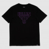 Fallen Triko Fallen, Insignia Tee black purple 2024/25 Velikost: M