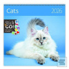 Cats 2026 - nástěnný kal…