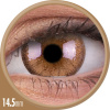 Maxvue Vision ColourVue Cheerful - Woody Brown (2 šošovky mesačné) - nedioptrické