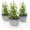 Gusta Garden GG-120F11